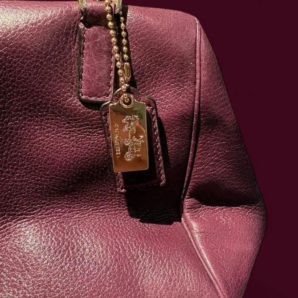 Coach Women's Purple and Burgundy Bag
